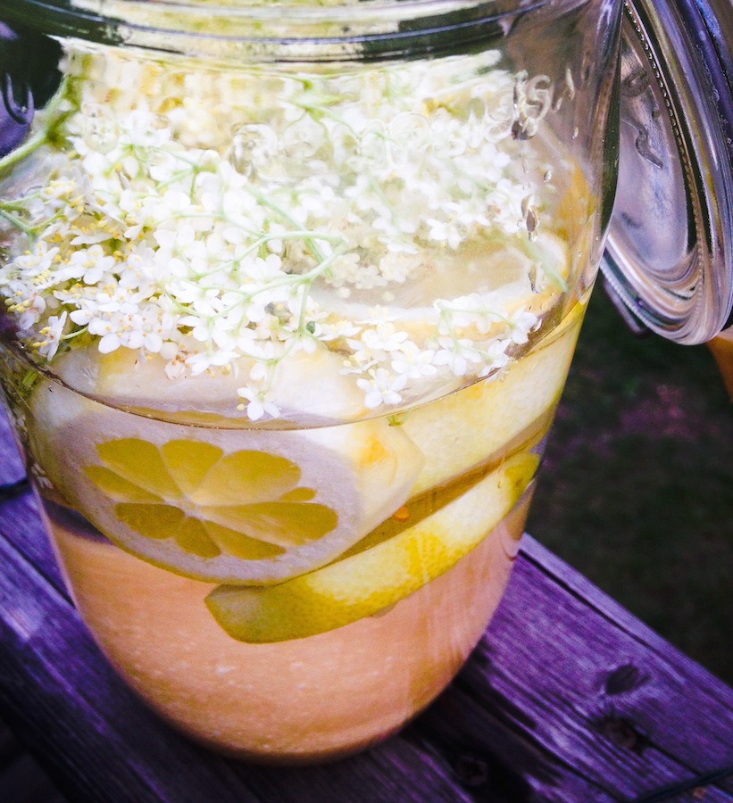 Comment faire de la limonade de fleurs de sureau ?